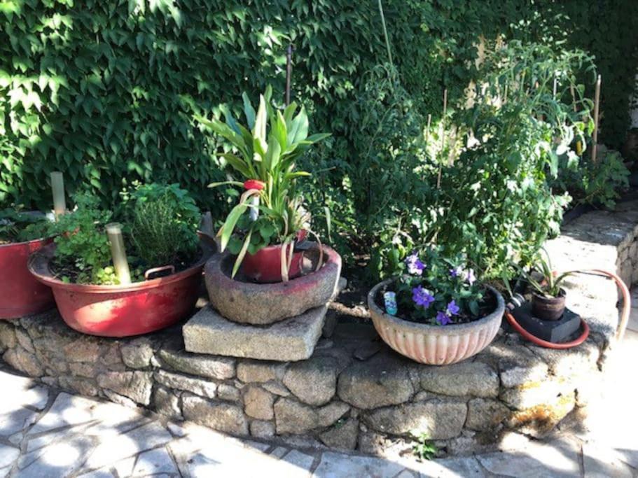 Loft La Perriere, Un Oasis En Pleine Ville 绍莱 外观 照片